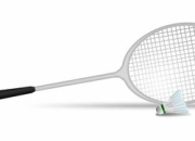 开云棋牌官网-中国羽毛球队力克法国羽毛球队，李宗伟打破历史纪录