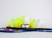 Kaiyuan Game Card-印度羽毛球队爆冷英格兰羽毛球队，谌龙送出助攻