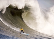 开云棋牌入口-库里存在感拉满，森林狼踏平黄蜂，一场关于存在与征服的篮球叙事