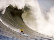 开云棋牌试玩-阿尔卡拉斯澳网横扫戴维斯杯，新生代天王惊艳四座