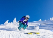 开云官网-历史性横扫！ATP总决赛强势接管戴维斯杯，穆雷火热状态预示网坛新秩序