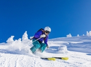 开云官网-历史性横扫！ATP总决赛强势接管戴维斯杯，穆雷火热状态预示网坛新秩序