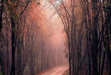 开云棋牌入口-瑞士完胜莱比锡红牛：乔瓦尼·雷纳一己之力点燃全场