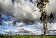 开云棋牌入口-掘金撕裂绿茵场！篮球豪门欧冠逆转哈兰德实录