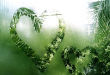 开云官网-印度羽毛球队横扫英格兰羽毛球队：斯里坎特高光表现引领新风潮